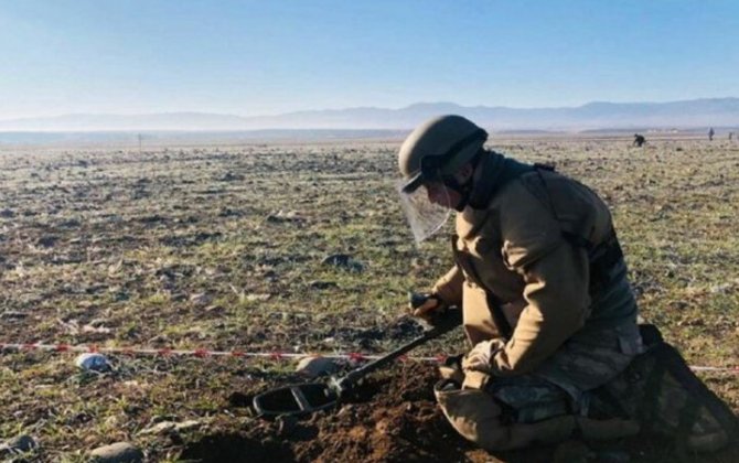 Ötən həftə 144 piyada əleyhinə mina zərərsizləşdirilib