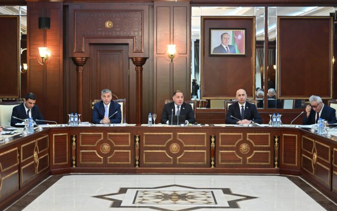 Milli Məclisin İqtisadi siyasət, sənaye və sahibkarlıq komitəsinin iclası keçirildi - FOTO