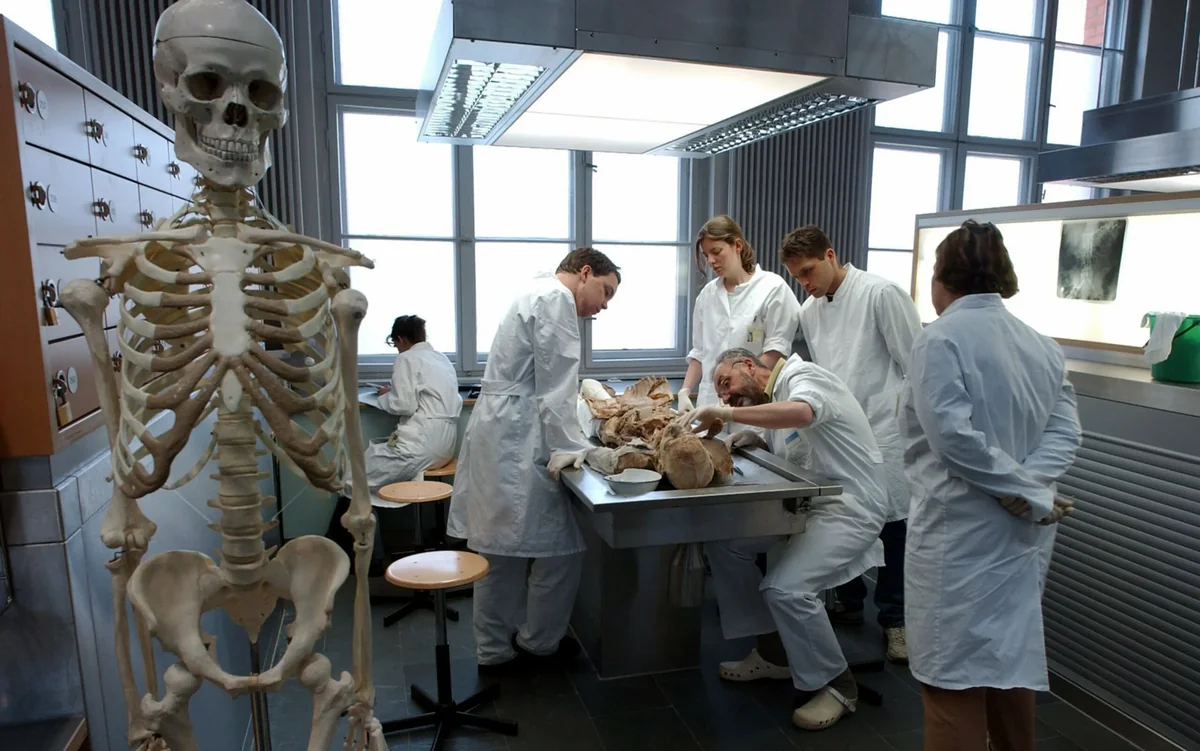 Минздрав: 13 доноров подарили жизнь 73 людям - ФОТО