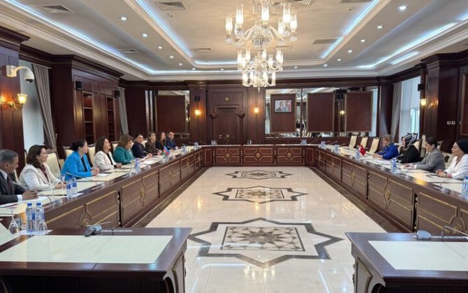 Milli Məclisdə görüş keçirildi - FOTO