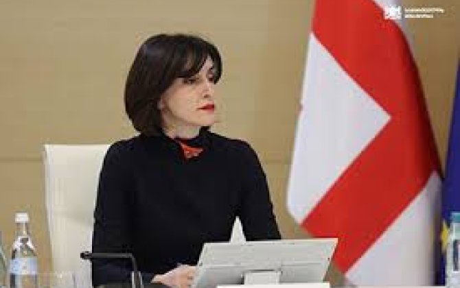 Бочоришвили: Нет ни одного доказательства обхода санкций через Грузию