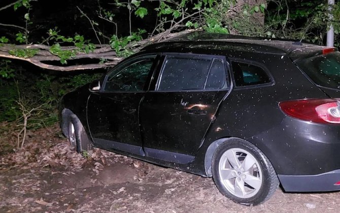 В Лянкяране автомобиль врезался в дерево: есть погибший