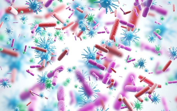 В Китае обнаружен вирус, способный поражать зрение