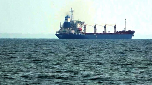 СМИ: Израиль не смог задержать российское судно с украинским зерном