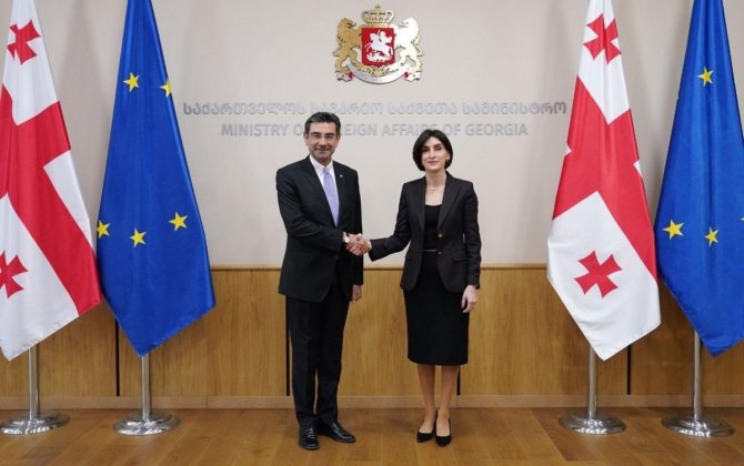 Gürcüstan XİN başçısı Türkiyə səfiri ilə regional təhlükəsizliyi müzakirə edib