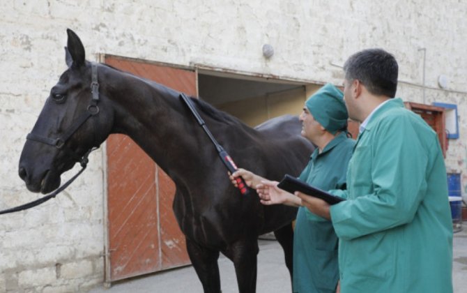 At xəstəlikləri üzrə epizootoloji monitorinqlər aparılacaq