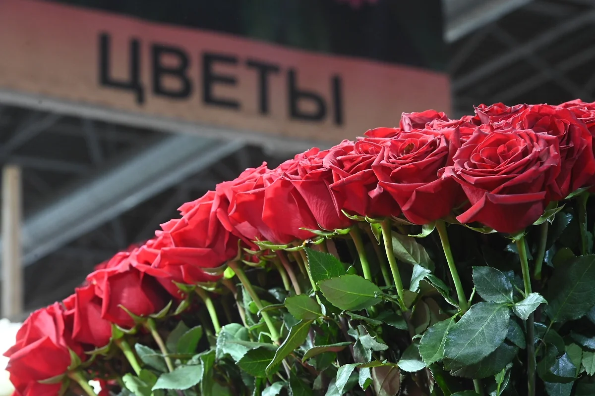 Миллион, миллион алых роз: ухажер усыпал подъезд ЖК цветами за 70 млн рублей - ФОТО/ВИДЕО