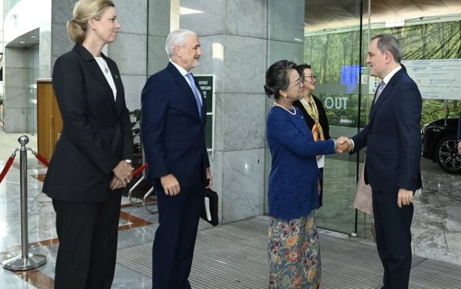 Azərbaycan XİN rəhbəri Banqkokda səfərdədir - FOTO