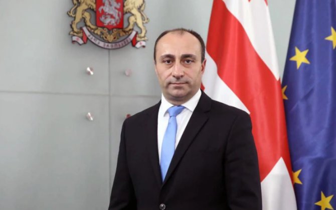 Гела Геладзе назначен главой службы госбезопасности Грузии