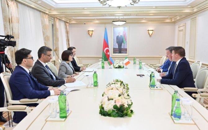 İrlandiya-Azərbaycan parlamentlərarası dostluq qrupunun üzvləri ilə görüş olub - FOTO