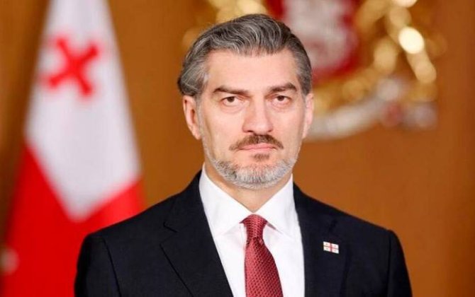 Михеил Кавелашвили примет участие в экологическом саммите в Астане