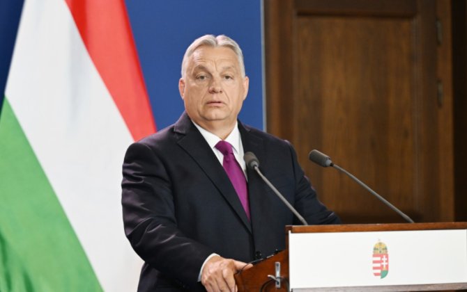 Орбан выступил в защиту президента Венгрии