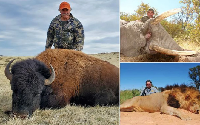 Milyoneri fillər tapdalayıb öldürdü