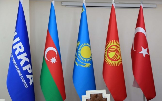 В ТюркПА осудили сожжение турецкого флага в Армении
