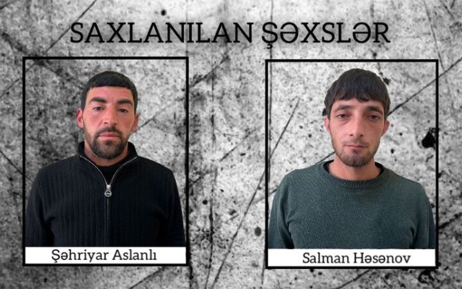 Şirvanda çətənə kolları yetişdirən iki nəfər saxlanıldı