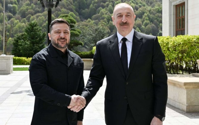 Zelenskinin bu təklifi Azərbaycanın sülhpərvər siyasətinin beynəlxalq miqyasda təntənəsidir