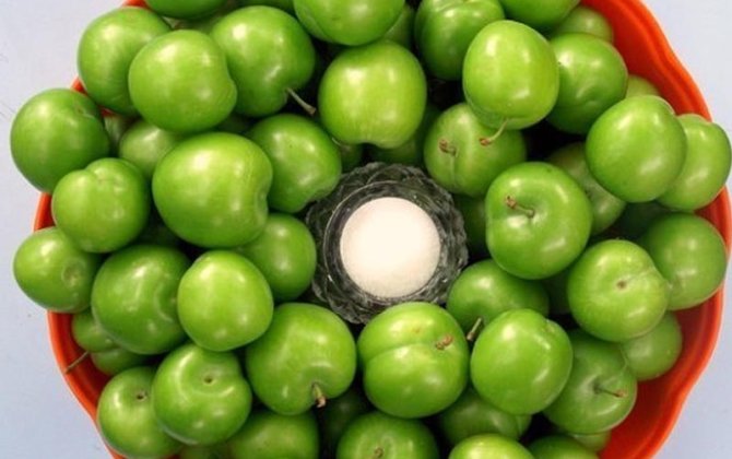 Alçanı duzla yeyənlərə xəbərdarlıq