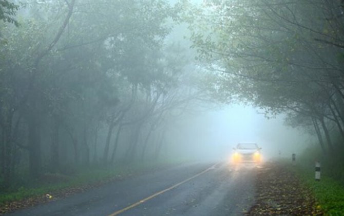 Завтра из-за тумана на дорогах будет ограничена видимость