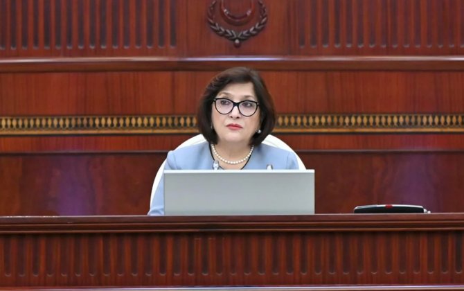 Sahibə Qafarova MSK heyəti barədə bunları söylədi