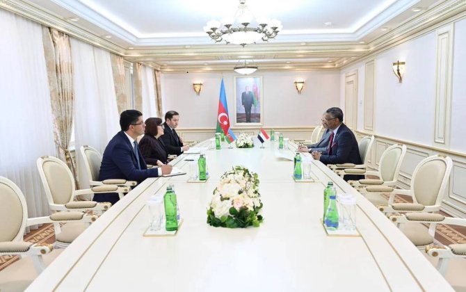 Sahibə Qafarova sudanlı səfirlə parlamentlərarası əməkdaşlığı müzakirə edib - FOTO