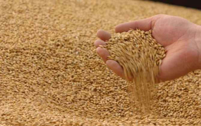 Украина пригрозила Израилю дипломатическим кризисом