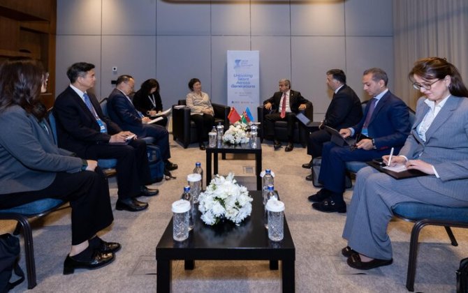 Bacarıqlar Sammiti çərçivəsində ikitərəfli görüşlər keçirildi - FOTO