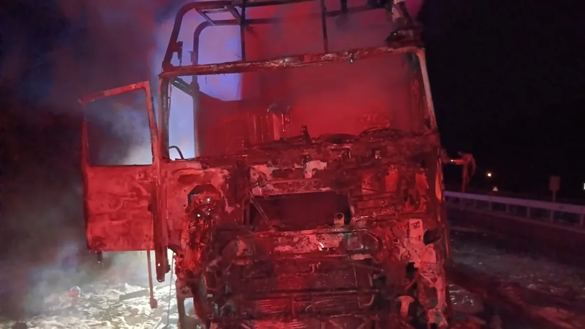 В Турции сгорел грузовик с азербайджанскими номерами