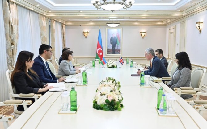 Milli Məclisin sədri Britaniya səfiri ilə görüşüb