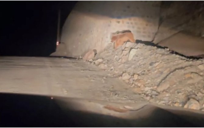 В Кяльбаджаре зафиксировано появление бурого медведя-ВИДЕО