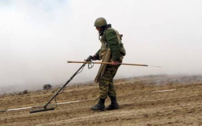 Minatəmizləmə zamanı həlak olanların övladlarının təhsil haqqı dövlət büdcəsindən ödəniləcək