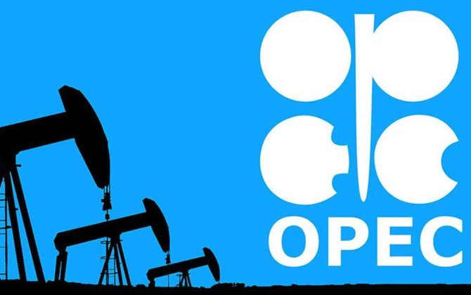 Добыча нефти странами ОПЕК упала до 36-летнего минимума
