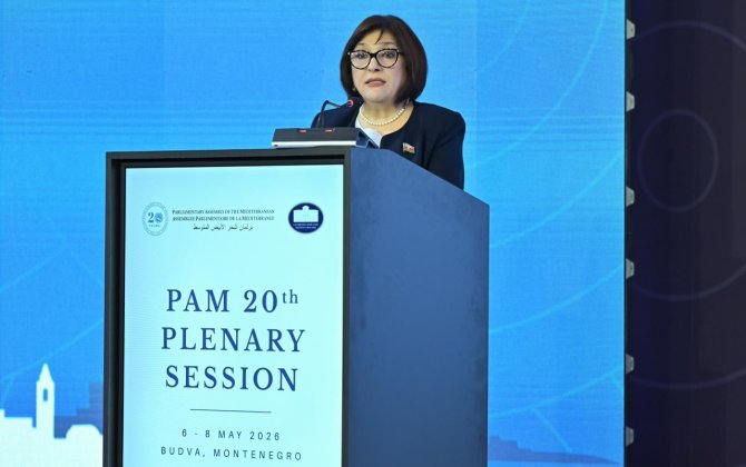 Milli Məclisin sədri Aralıq Dənizi Parlament Assambleyasının sammitində iştirak edib - FOTO