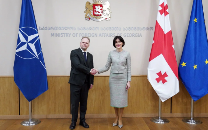Hamilton ilə Boçorişvili NATO və Gürcüstan arasında əməkdaşlığın inkişafını müzakirə ediblər