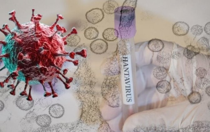 Hantavirus daha bir ölkəyə yayıldı