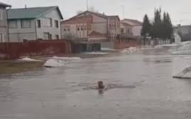 В Якутии затопило десятки дворов из-за паводков