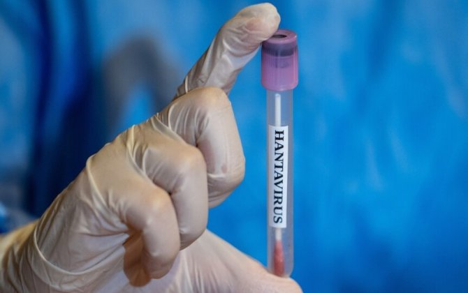 Hantavirus aşkarlanan gəmidən təxliyə edilən Türkiyə vətəndaşlarının test nəticələri neqativ çıxıb