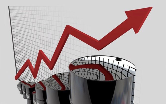 Цены на эталонные марки нефти выросли более чем на 1%