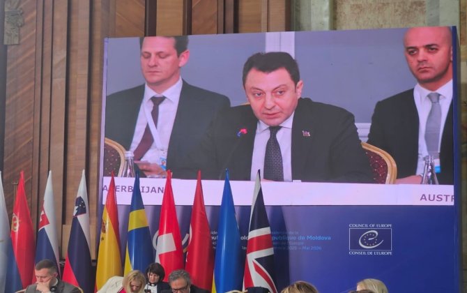 Nazir müavini: Azərbaycana qarşı qərəzli yanaşma Avropa Şurasının bütövlüyünə ciddi xələl gətirir - FOTO