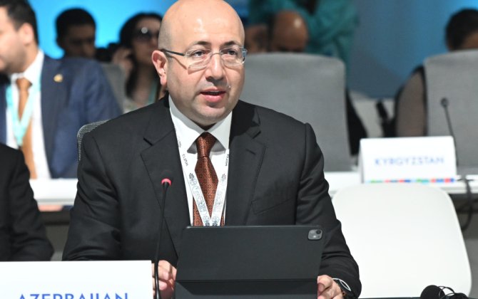 Milli koordinator: Assambleyalar bizim ən güclü dəyərləri təmsil edir
