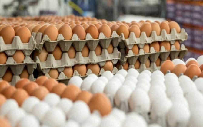 Azərbaycanda yumurta niyə bahalaşır? – İqtisadçı səbəbləri açıqladı