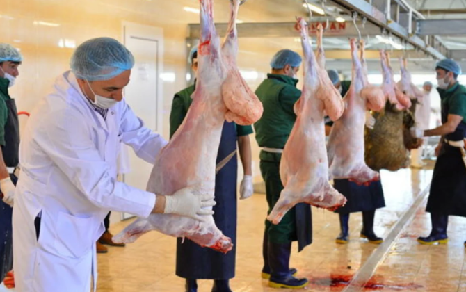 Qurban bayramı ilə bağlı təhlükəsiz heyvan kəsimi və satışına nəzarət gücləndirilib