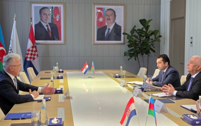 AzərEnerji” sədri ilə Xorvatiya səfirinin görüşü olub - FOTO