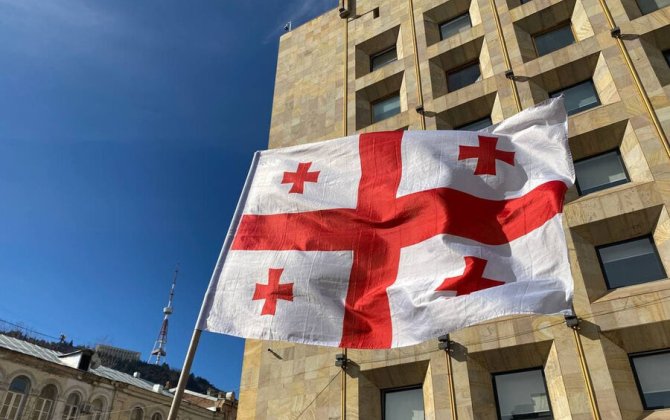 В Грузии резко раскритиковали посла Германии