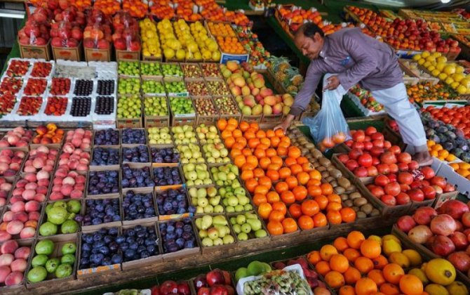 Обнародован объем производства продукции в сельхозпарках Ирана
