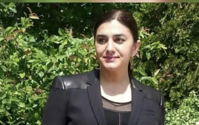 Naxçıvandan Günay Ağamalı, Kamal Abdulla və Mir Şahinə MÖHTƏŞƏM CAVAB...