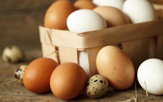 Yumurtaların saxlanmasında ən çox edilən SƏHV