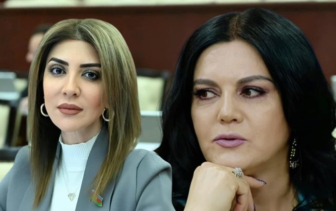 “Uşaqpulu verilsə, ailələr 3-dən çox uşaq dünyaya gətirər -imkansızlıqdan istəmirlər...”