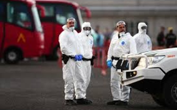 У еще одного пассажира круизного судна выявлен хантавирус