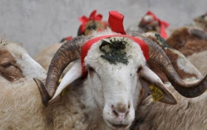 Qurban payını bu şəxslərə vermək olmaz - XƏBƏRDARLIQ!