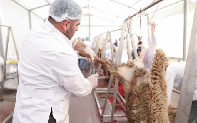 В освобожденных районах организованы пункты продажи и забоя жертвенных животных